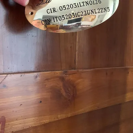 La Ciccinina Appartement Sarteano